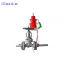 門閥鎖具|工業(yè)鎖具_(dá)whonton萬用門閥鎖具WHV37