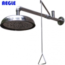 AEGLE壁掛式噴淋器|羿科壁掛式噴淋器_羿科60902205 壁掛式噴淋器