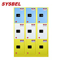 Sysbel西斯貝爾分區(qū)域存儲(chǔ)九門化學(xué)品安全柜WA033050