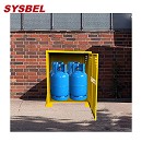SYSBEL西斯貝爾LP/OXY網狀氣瓶柜WA720204